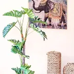 Adani Hotel 2*